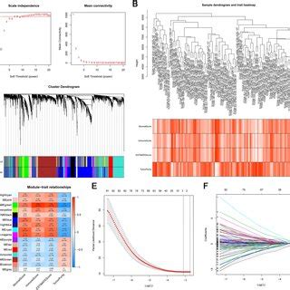 Tumor Purity Score Model Construction By Wgcna And Lasso Cox Analysis