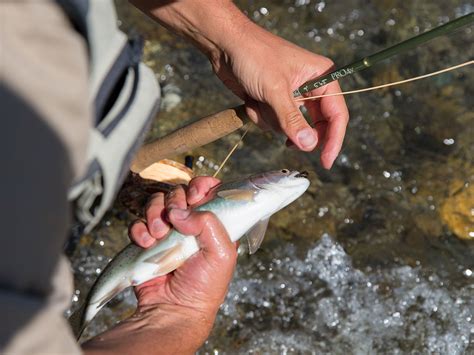 Fliegenfischen Masulhof Urlaub Auf Dem Bauernhof In S Dtirol