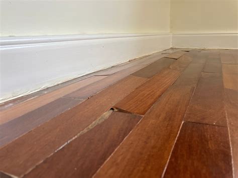 Signs That Your Hardwood Floors Are Water Damaged