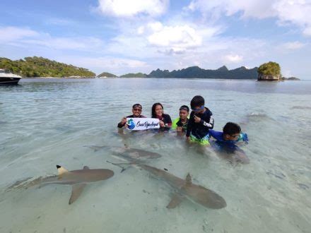 Tour Raja Ampat Hari Malam Raja Ampat Dive Resort Oasis