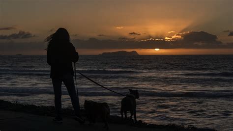 Alerta Cofepris Estas Playas De M Xico Con Riesgos A La Salud En