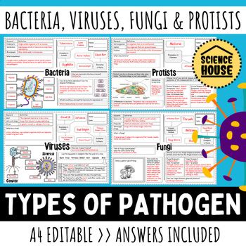 Pathogen Types Viruses Bacteria Fungi And Protist Diseases Worksheets