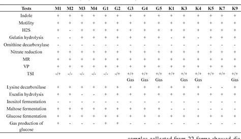 Isolation Phenotypic And Molecular Characterization Of Motile