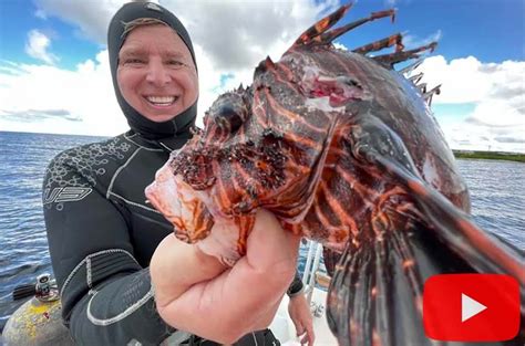 Lionfish Predators: What You Should Know - Lionfish Divers