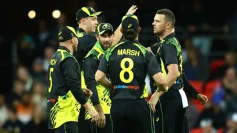 Nz Vs Aus T World Cup Live Streaming When And Where To Watch New