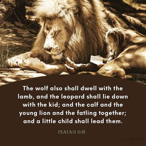 Isaiah 11 6 Lion Bible Verse Lion In The Bible Isaiah 11