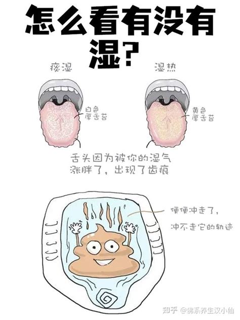 汉方饮一文解释“湿气重”到底是怎么回事？ 知乎