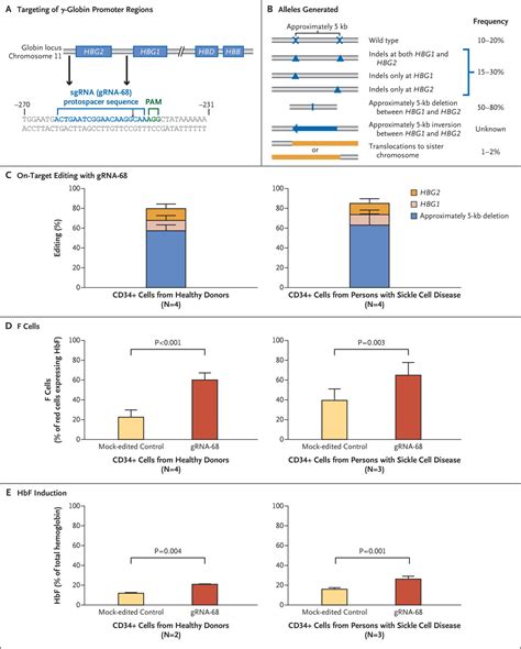 Crispr Cas9 Editing Of The Hbg1 And Hbg2 Promoters To Treat Sickle Cell Disease New England