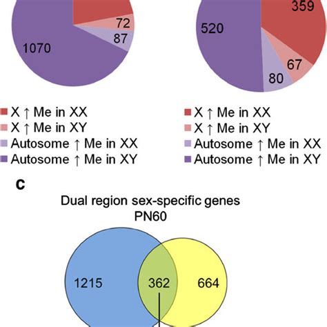 Cpg Methylation At Many Genes Is Sexually Dimorphic Displayed Are The