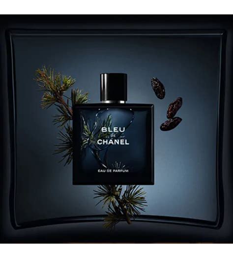 Nước Hoa Nam Chanel Bleu EDP 100ml Chính Hãng Giá Tốt Long Perfume