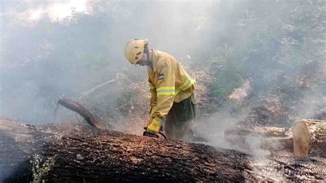 Se Encuentran Controlados Los Incendios En Los Parques Nacionales Los