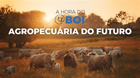 Agropecuária do futura A HORA DO BOI YouTube