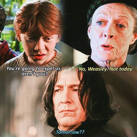 Pin By Jessica McDonald On Harry Potter Harry Potter Jokes Harry