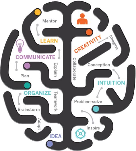 Transferable Skills Definitions Types Examples Career Cliff