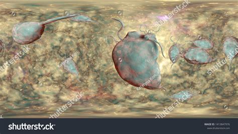 Trichomonas Vaginalis Protozoan 360degree Spherical Panorama Stock Illustration 1413847976