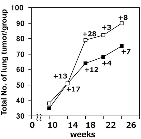 Non Invasive X Ray Micro Computed Tomographic Evaluation Of