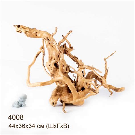 Коряги КОРЕНЬ АЗАЛИИ - XXL
