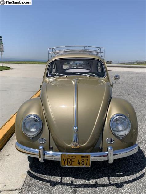 Thesamba Vw Classifieds Euro Bug