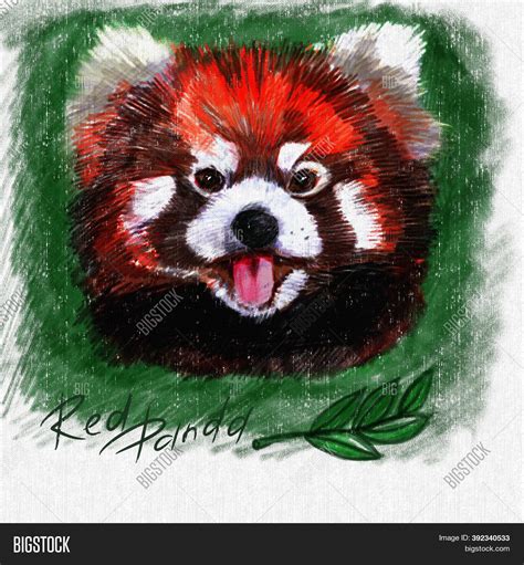 Red Panda Pencil Drawing