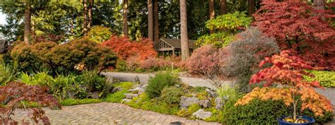 Rhododendron Species Botanical Garden Federal Way Wa