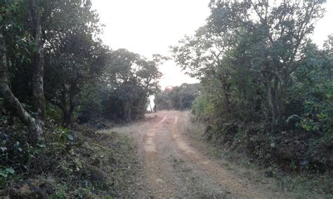Dajipur Wildlife Sanctuary Kolhapur Stay In Standard Room Jungle S