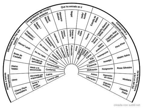 Subtil Biometro Flores De Bach Terapia De Respuesta Espiritual