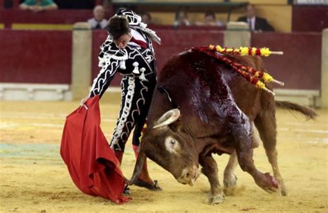 Feria Del Pilar El Juli Se Pega Un Batacazo En Su Encerrona DE SOL Y