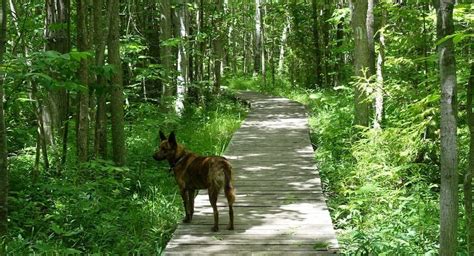 Hidden Gems Along Ontario S Bruce Trail Hike Bike Travel Ontario