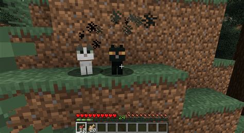 Turn A Ocelot Into A Cat In Minecraft Tablet Billacrown