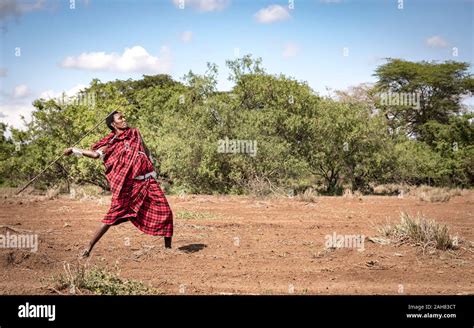 Handsome Maasai Warrior Throwing His Spear Stock Photo Alamy