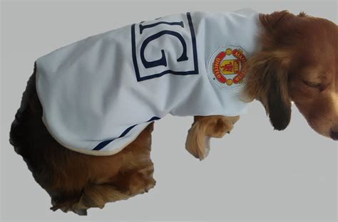 Man United Personalised Dog Coat Size X Large 26 All Etsy