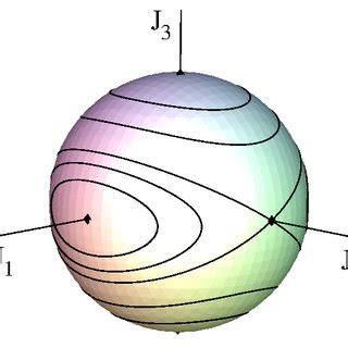 Angular momentum sphere with contours of the Hamiltonian in (8 ...