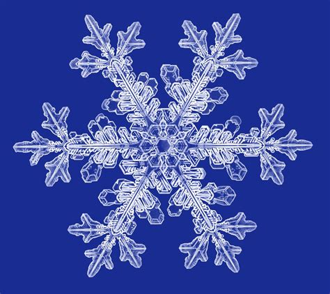 Snowflake Photographs | Snowflake photography, Snowflakes real, Snowflake pictures