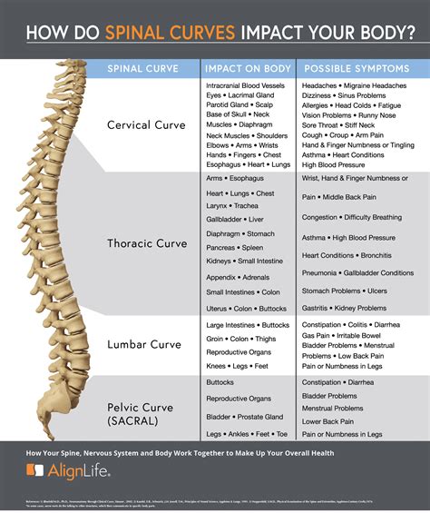 Curved spine - mainmundo