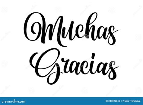 Gracias Calligraphy Spanish Translation Of Thank You Phrase Vector