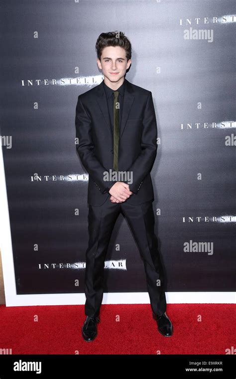 New York, NY, USA. 3rd Nov, 2014. Timothee Chalamet at arrivals for ...