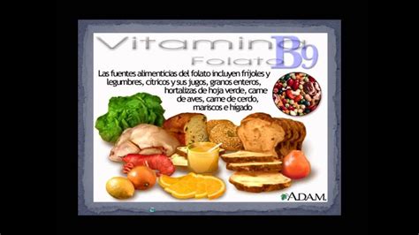 Vitaminas Hidrosolubles Youtube