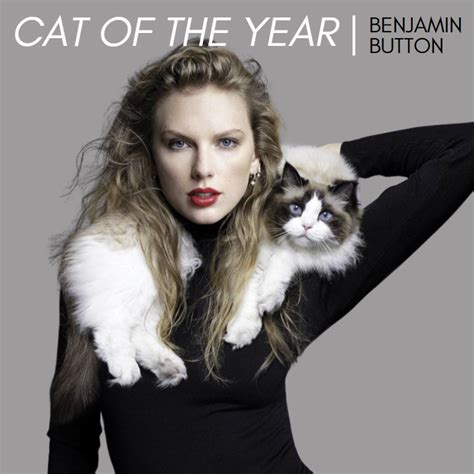 Benjamin Button is cat of the year! | LoveCATS World