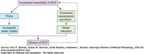 Regulation Of Extracellular Fluid Composition Volume Basicmedical Key