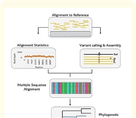 Bioinformatics And Computational Sequence Alignment Variant Calling