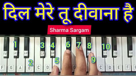 Dil Mere Tu Deewana Hai Piano Harmonium Keyboard Tutorial 01 से 10 की