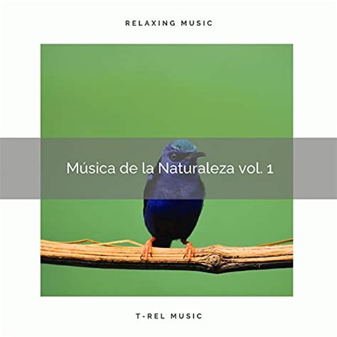 Play 2021 Música de la Naturaleza vol 1 by Sonido Del Bosque y