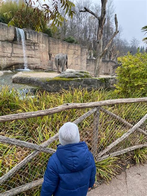 Visit Zurich Zoo Discover The Worlds Animals At Home Switzerlanding