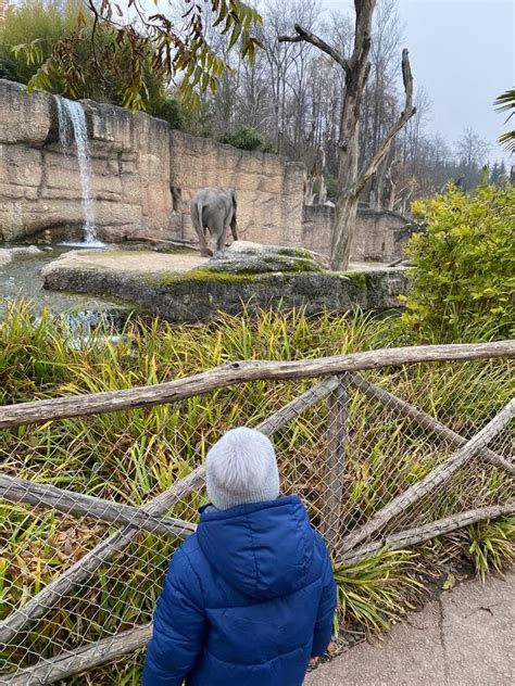 Visit Zurich Zoo: Discover The World's Animals At Home - SwitzerLanding