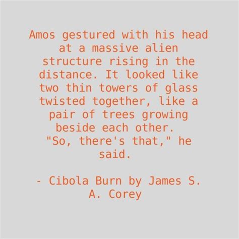 Cibola Burn, by James S A Corey, expanse series | Burns, Sayings, James