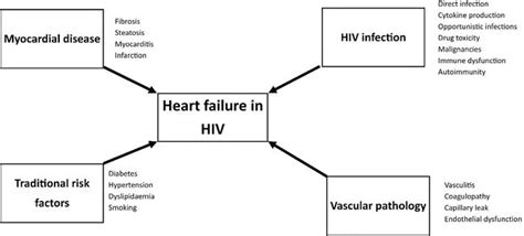 Hiv Associated Cardiovascular Disease Intechopen