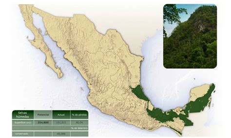 Distribución de las regiones naturales de México Nueva Escuela