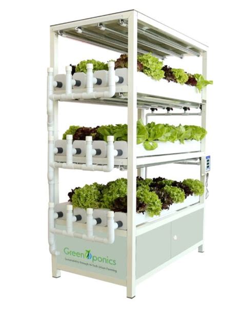 Indoor Vertical Farming System Hydroponics Systems For Home School