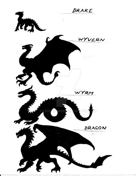 Dragon Species by Level9Drow on DeviantArt