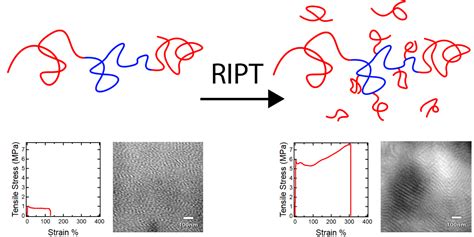 Grafted Polymers Hickey Research Group